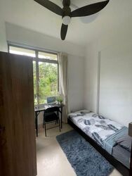 The Blossomvale (D21), Condominium #479807531